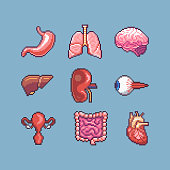 Pixel art human organs vector icon set.