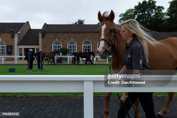 Horses are paraded in the ring ahead of the 'Tattersalls' July Sale on July 11, 2018 in Newmarket, England. Founded in 1766 Tattersalls is Europes...
