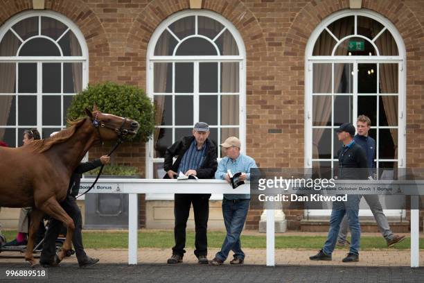 Horses are paraded in the ring ahead of the 'Tattersalls' July Sale on July 11, 2018 in Newmarket, England. Founded in 1766 Tattersalls is Europes...
