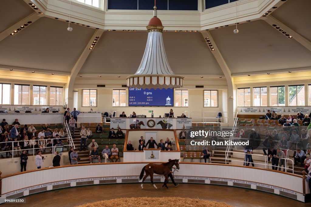 Horse Racing Industry Faces Uncertain Future Post Brexit As Questions Over Irish Border Remain