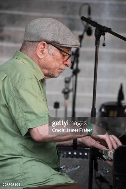 Erwin Helfer performs on stage at The Chicago Blues Festival on June 10, 2018 in Chicago, Illinois, United States.