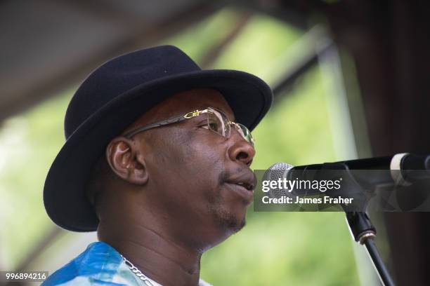 Vieux Farka Toure performs on stage at The Chicago Blues Festival on June 9, 2018 in Chicago, Illinois, United States.