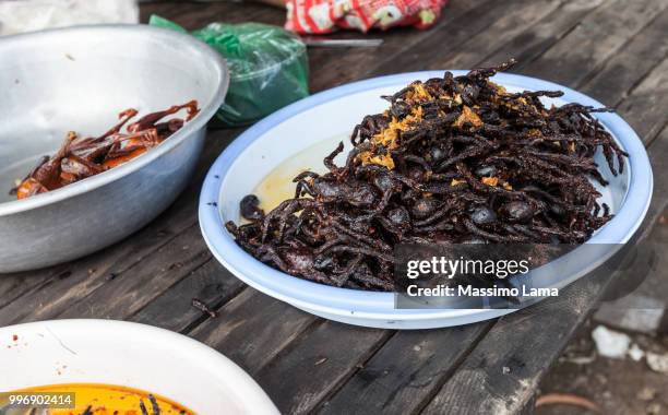 fried spiders  and chicken - astragalus stock-fotos und bilder