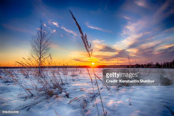 the spring sunset - shatilov stock pictures, royalty-free photos & images