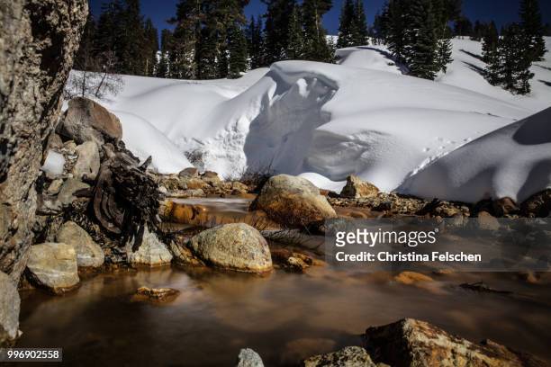 river in lassen volcanic national park - christina felschen stock pictures, royalty-free photos & images