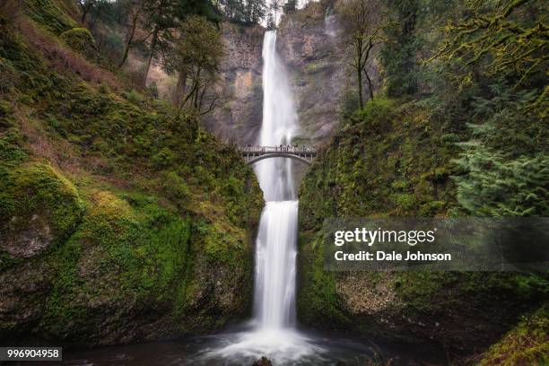 multnomah falls, columbia river gorge, oregon - columbia falls stock pictures, royalty-free photos & images