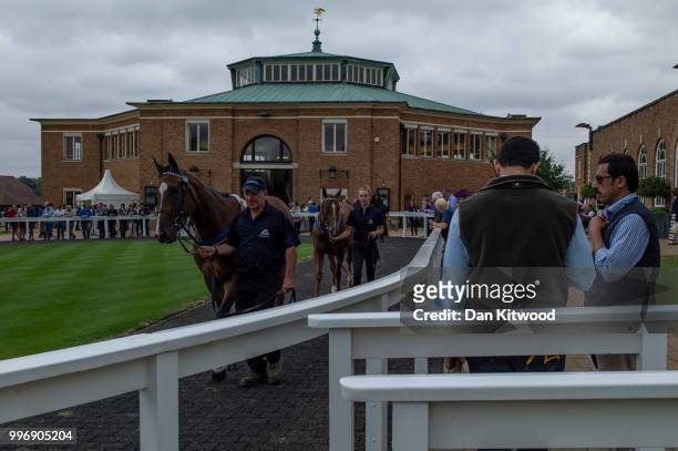 Horses are paraded for inspection during the 'Tattersalls' July Sale on July 11, 2018 in Newmarket, England. Founded in 1766 Tattersalls is Europes...