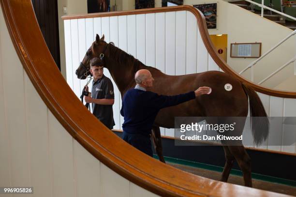 Sticker is placed on Lot 27, a Chestnut Mare from Great Britain as it exits the sales ring during the 'Tattersalls' July Sale on July 11, 2018 in...