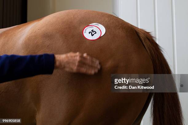 Sticker is placed on Lot 25, a Chestnut Mare from Ireland called Tamaletta as it exits the sales ring during the 'Tattersalls' July Sale on July 11,...