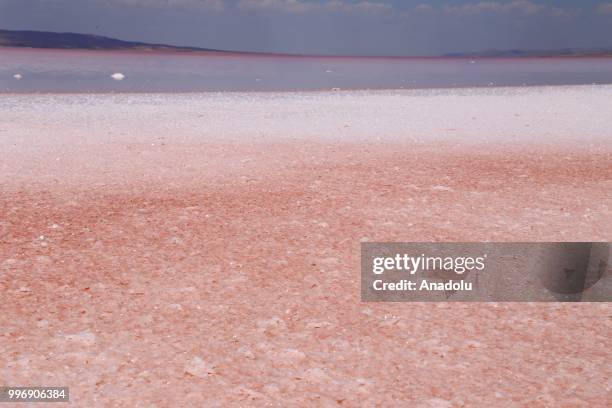 View of "Salt Lake" is seen after its color turned to red due to Dunaliella salina in Aksaray, Turkey on July 12, 2018. Dunaliella salina is a kind...