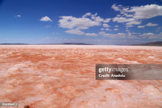 View of "Salt Lake" is seen after its color turned to red due to Dunaliella salina in Aksaray, Turkey on July 12, 2018. Dunaliella salina is a kind...