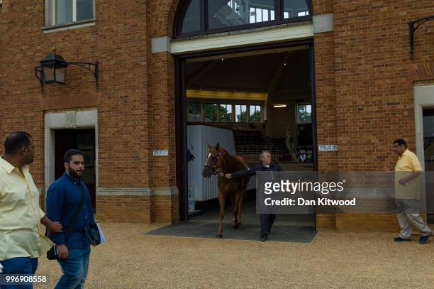 Horse leaves the sales ring during the 'Tattersalls' July Sale on July 11, 2018 in Newmarket, England. Founded in 1766 Tattersalls is Europes leading...