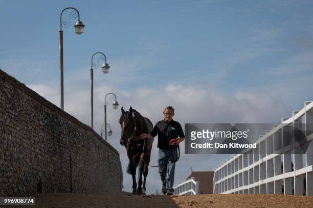 Horse is led back to its box during the 'Tattersalls' July Sale on July 11, 2018 in Newmarket, England. Founded in 1766 Tattersalls is Europes...