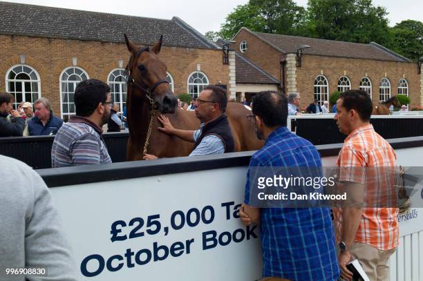 Horses are inspected during the 'Tattersalls' July Sale on July 11, 2018 in Newmarket, England. Founded in 1766 Tattersalls is Europes leading...