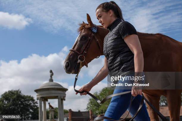 A Chestnut Colt called 'Dawn Arrival' is paraded for inspection during the 'Tattersalls' July Sale on July 11, 2018 in Newmarket, England. Founded in...