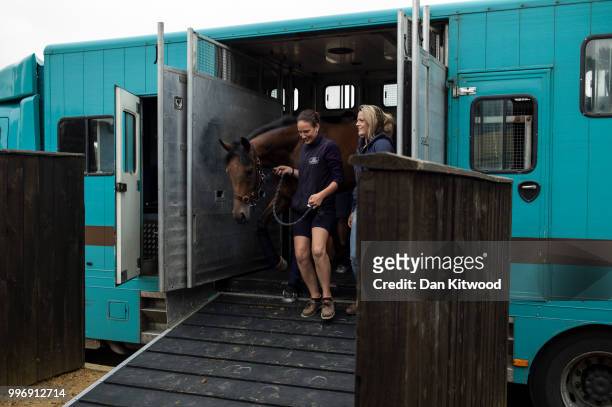 Horses arrive ahead of the 'Tattersalls' July Sale on July 11, 2018 in Newmarket, England. Founded in 1766 Tattersalls is Europes leading bloodstock...