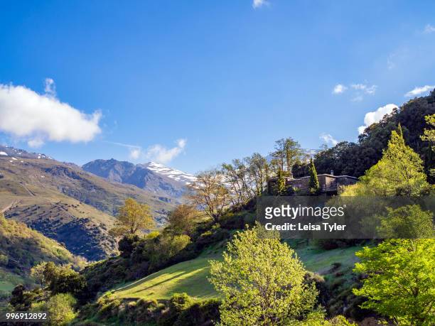 The countryside around Capileira, the highest and most northerly village in the Poqueira river gorge, in the Alpujarra region in the Sierra Nevada,...