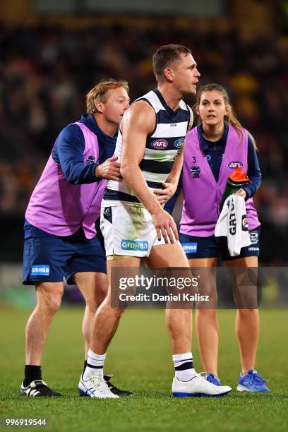 Joel Selwood of the Cats is attended to by trainers during the round 17 AFL match between the Adelaide Crows and the Geelong Cats at Adelaide Oval on...