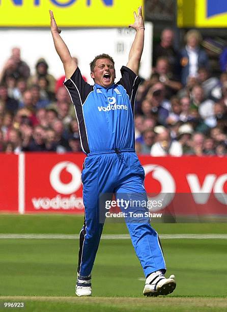 Darren Gough of England celebrates taking the wicket of Shahid Afridi of Pakistan and becoming Englands leading ODI wicket taker during the England v...