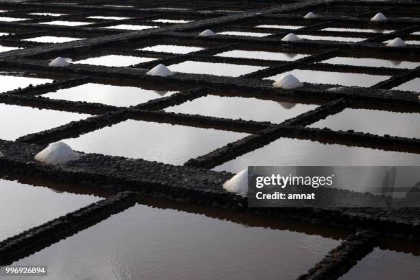 europe canary islands fuerteventura - canal interior imagens e fotografias de stock