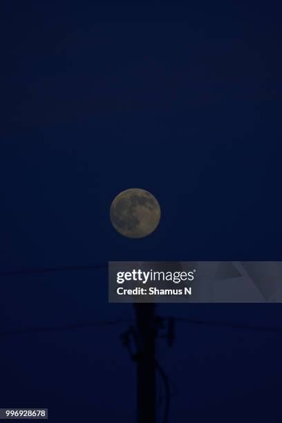 full moon risen - reisen stock pictures, royalty-free photos & images