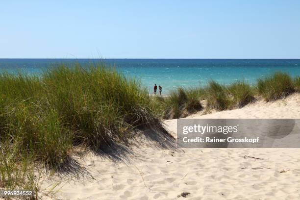 sand dunes at coast of lake michigan - rainer grosskopf 個照片及圖片檔