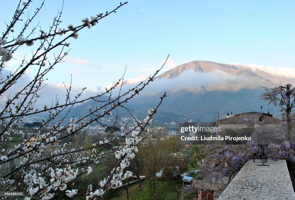Early Morning in the Mountains in Spring