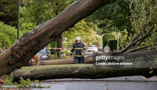 Fire fighter passes fallen trees in Hamburg-Niendorf, Germany, 05 October 2017. The storm front "Xavier" is passing through parts of North Germany on...