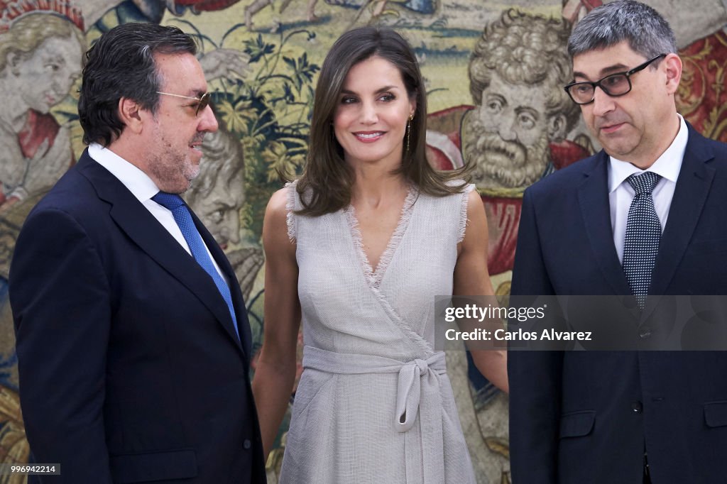 Queen Letizia Of Spain Attends Audicences At Zarzuela Palace