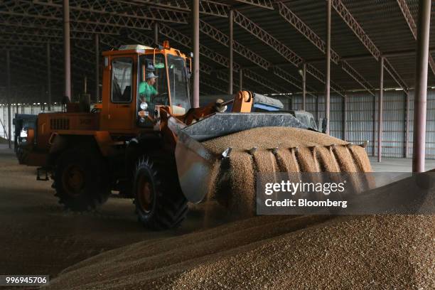 The bucket of a front-loader unloads wheat grain inside the storage facility during the summer wheat harvest on a farm operated by Ros Agro Plc, in...