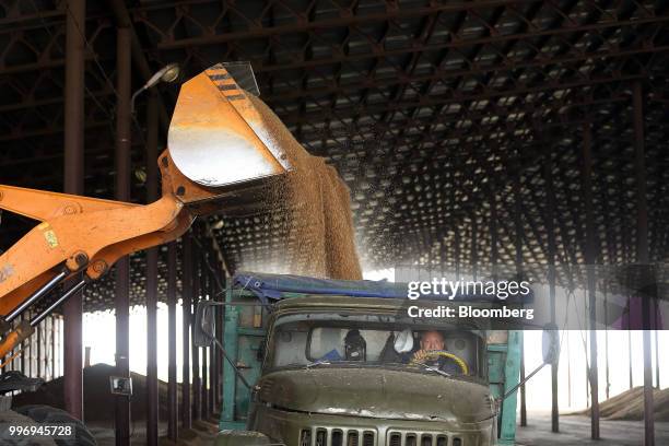 The bucket of a front-loader unloads wheat grain into a truck inside the storage facility during the summer wheat harvest on a farm operated by Ros...