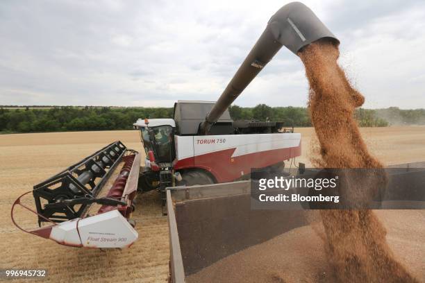 Torum combine harvester, manufactured by Rostselmash OJSC, unloads harvested wheat into a truck during the summer harvest on a farm operated by Ros...