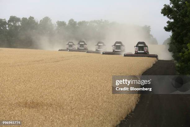 Torum combine harvesters, manufactured by Rostselmash OJSC, drive in formation through a field of wheat during the summer harvest on a farm operated...