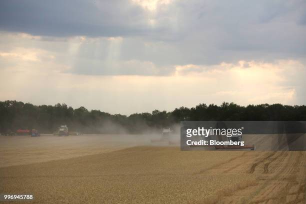 Tucano combine harvesters, manufactured by Claas KGaA, drive through a field of wheat during the summer harvest on a farm operated by Ros Agro Plc,...