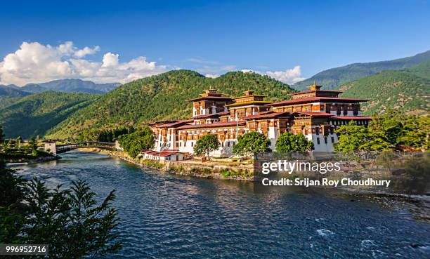 punakha dzong, fortress of bhutan, copy space - punakha dzong stock pictures, royalty-free photos & images