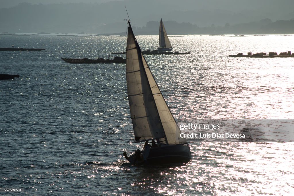 Sailboat sailing among Mussel beds