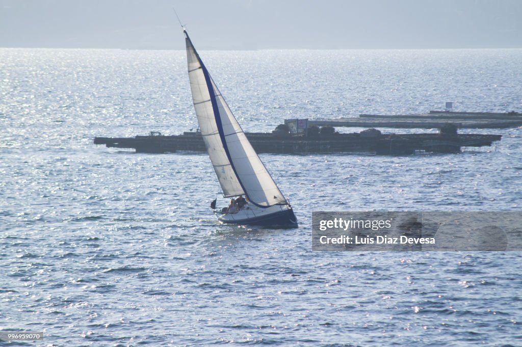 Sailboat sailing among Mussel beds