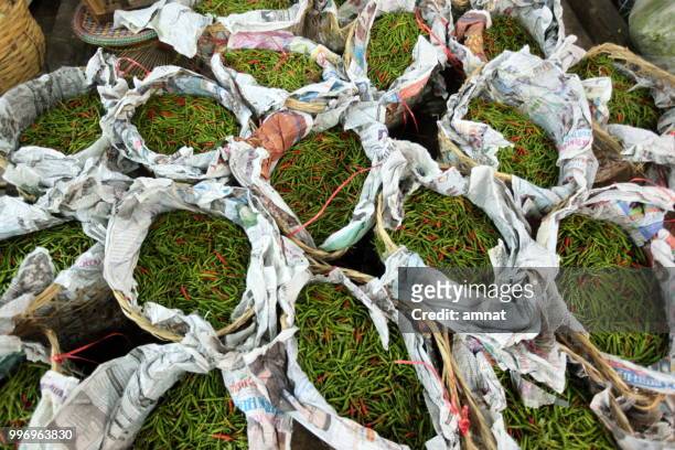 asia thailand chiang mai market - enterobacteria stock pictures, royalty-free photos & images