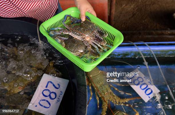 asia thailand phuket markt - food markt stock pictures, royalty-free photos & images