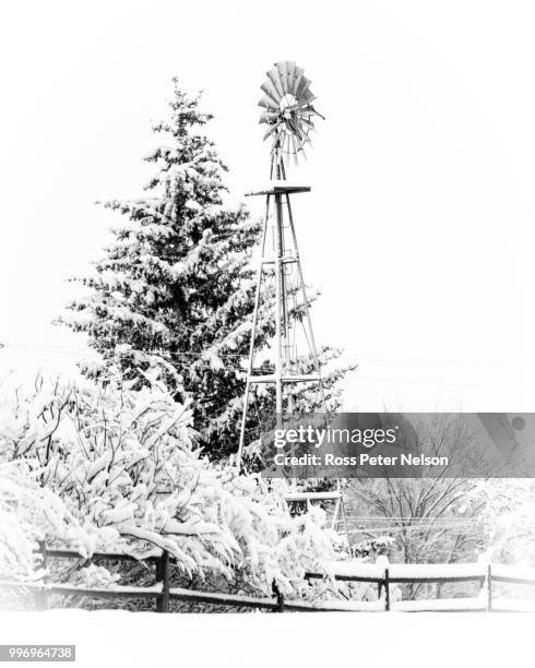 snow scene - peter nelson fotografías e imágenes de stock