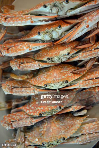 asia thailand phuket markt - crab legs stock-fotos und bilder