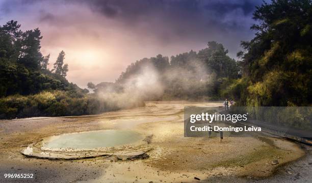 new zealand - north island - rotorua area wai-o-tapu (sacred waters) - rotorua stockfoto's en -beelden