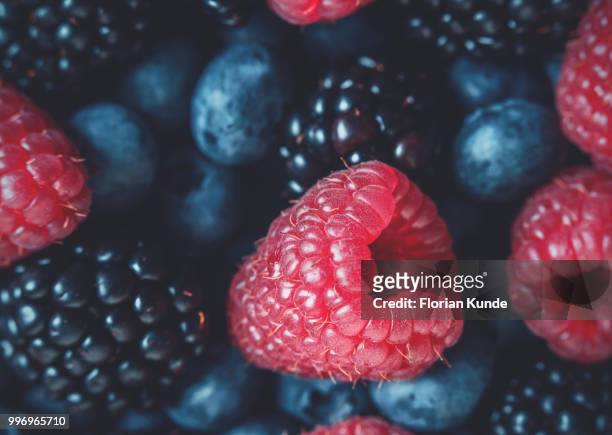closeup berries - kunde stock pictures, royalty-free photos & images