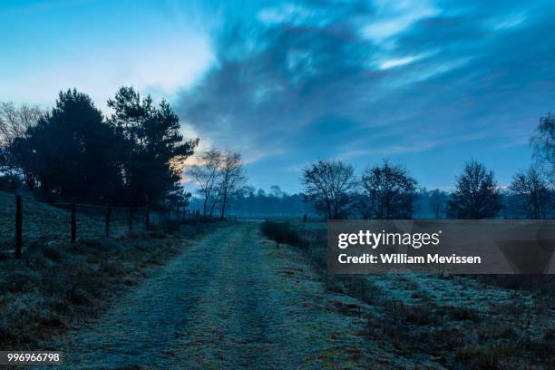 twilight path - william mevissen fotografías e imágenes de stock