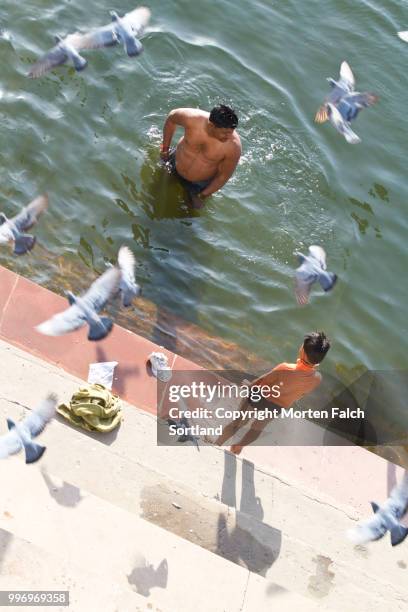 swimming at sunset point, udaipur, india - sunset point stock pictures, royalty-free photos & images