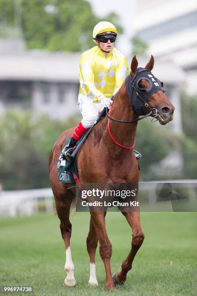 Jockey Craig Williams riding Criterion finished 3rd during Race 8 Audemars Piguet Queen Elizabeth II Cup at Sha Tin racecourse on April 26 , 2015 in...