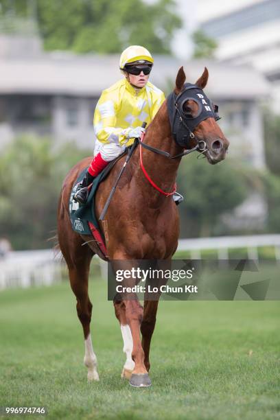 Jockey Craig Williams riding Criterion finished 3rd during Race 8 Audemars Piguet Queen Elizabeth II Cup at Sha Tin racecourse on April 26 , 2015 in...