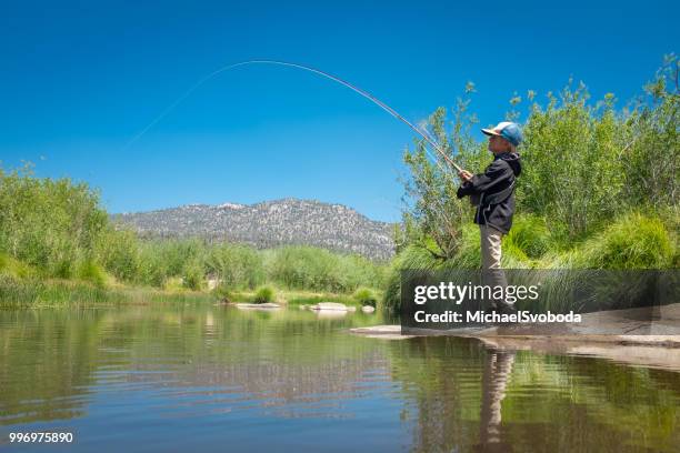 8 jahre alter junge fliegenfischen - fishing for leave stock-fotos und bilder