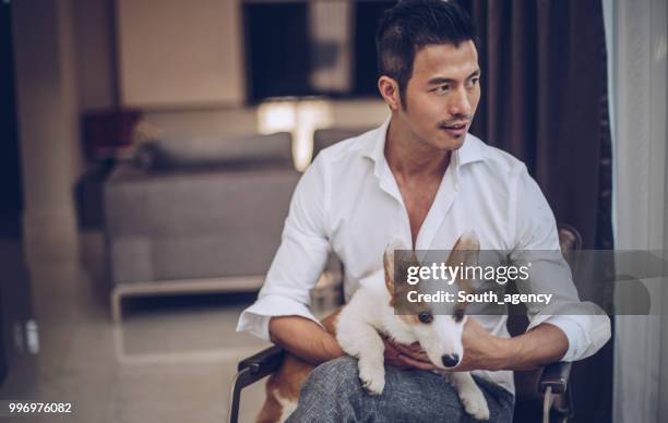 friends relaxing - pampered pets stock pictures, royalty-free photos & images