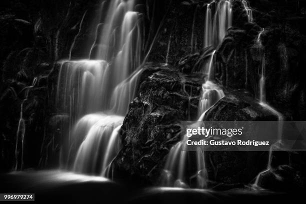 owharoa falls - owharoa falls stockfoto's en -beelden